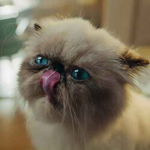 Mister Miggles